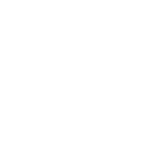 Defyzer Logo