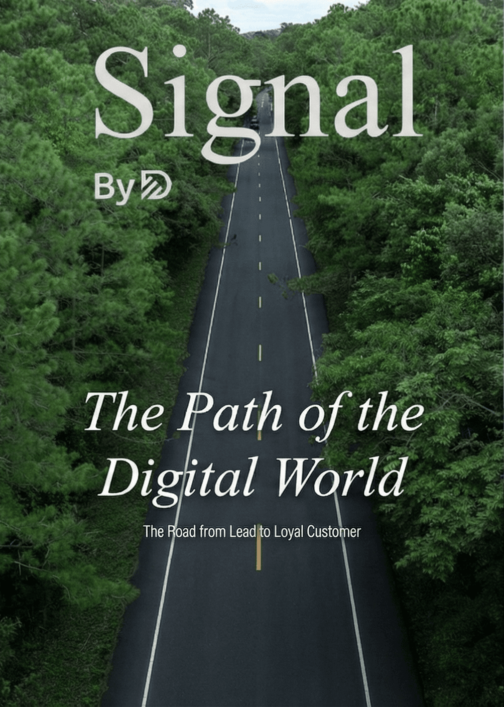 4-Step Digital Growth Formula: From Visitor to Loyal Customer Conversion Guide