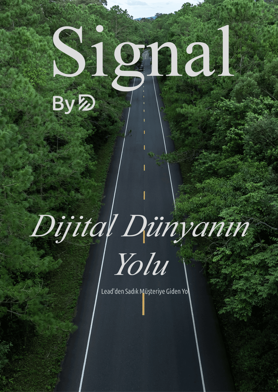 4 Adımlı Dijital Büyüme Formülü: Ziyaretçiden Sadık Müşteriye Dönüşüm Rehberi